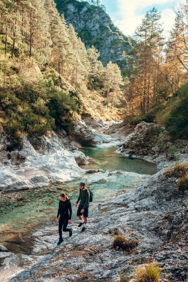 Schmautz Ferienwohnungen & Zimmer Miklauzhof Esterno foto